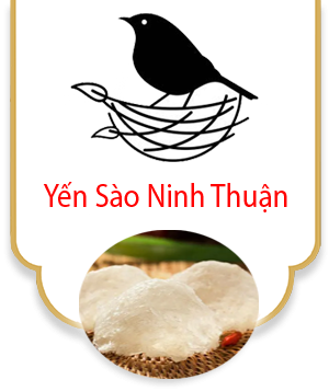 Yến Sào Ninh Thuận